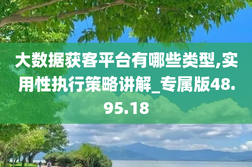 大数据获客平台有哪些类型,实用性执行策略讲解_专属版48.95.18