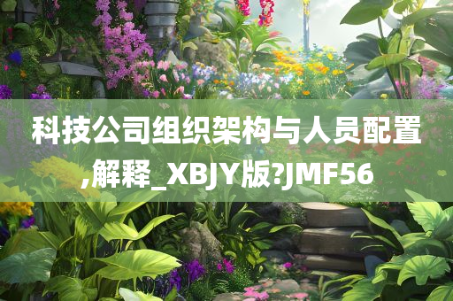 科技公司组织架构与人员配置,解释_XBJY版?JMF56