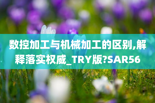 数控加工与机械加工的区别,解释落实权威_TRY版?SAR56