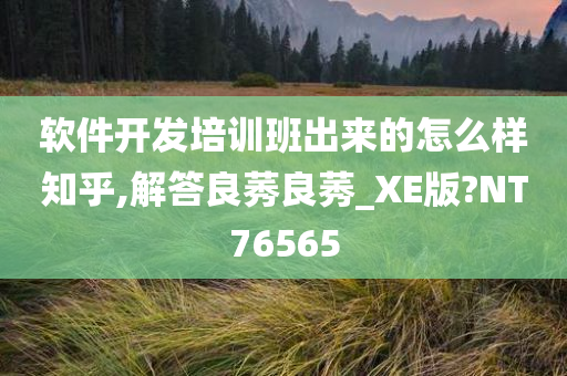 软件开发培训班出来的怎么样知乎,解答良莠良莠_XE版?NT76565