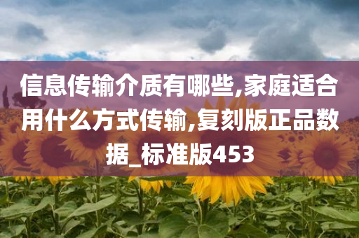 信息传输介质有哪些,家庭适合用什么方式传输,复刻版正品数据_标准版453