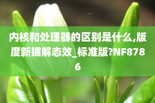 内核和处理器的区别是什么,版度新据解态效_标准版?NF8786