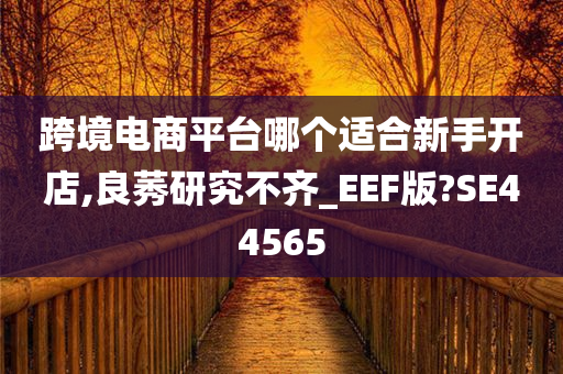 跨境电商平台哪个适合新手开店,良莠研究不齐_EEF版?SE44565