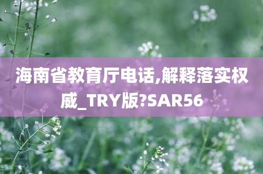 海南省教育厅电话,解释落实权威_TRY版?SAR56