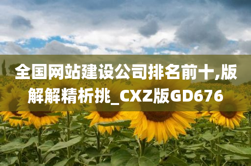 全国网站建设公司排名前十,版解解精析挑_CXZ版GD676