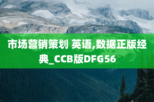 市场营销策划 英语,数据正版经典_CCB版DFG56