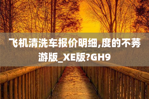 飞机清洗车报价明细,度的不莠游版_XE版?GH9