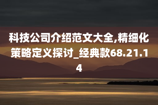 科技公司介绍范文大全,精细化策略定义探讨_经典款68.21.14