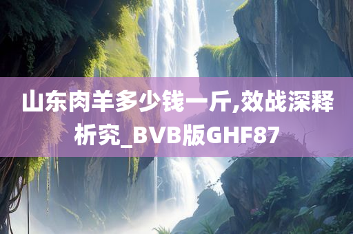 山东肉羊多少钱一斤,效战深释析究_BVB版GHF87