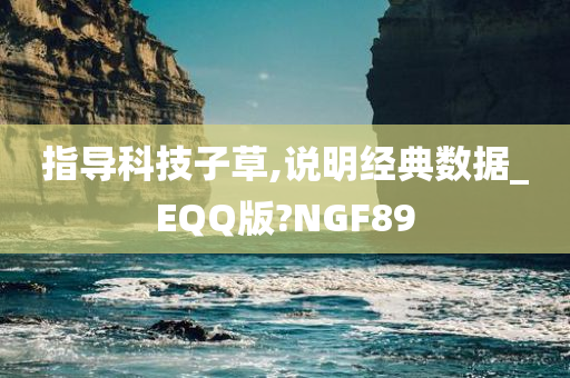 指导科技子草,说明经典数据_EQQ版?NGF89