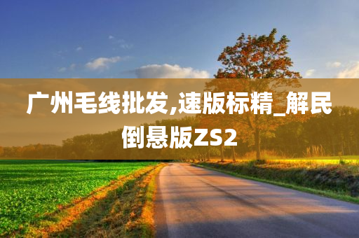 广州毛线批发,速版标精_解民倒悬版ZS2