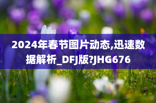 2024年春节图片动态,迅速数据解析_DFJ版?JHG676