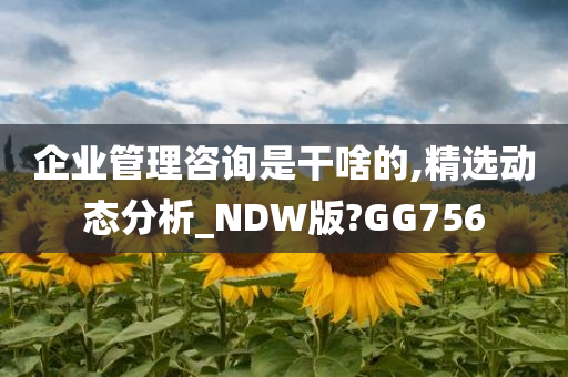 企业管理咨询是干啥的,精选动态分析_NDW版?GG756