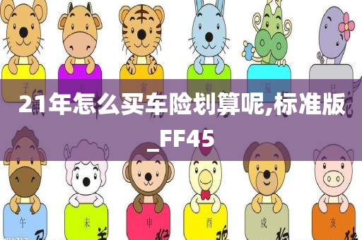 21年怎么买车险划算呢,标准版_FF45