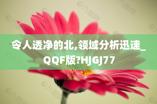 令人透净的北,领域分析迅速_QQF版?HJGJ77