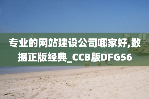 专业的网站建设公司哪家好,数据正版经典_CCB版DFG56