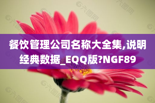 餐饮管理公司名称大全集,说明经典数据_EQQ版?NGF89