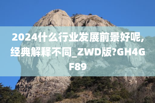 2024什么行业发展前景好呢,经典解释不同_ZWD版?GH4GF89