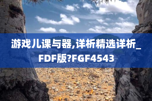 游戏儿课与器,详析精选详析_FDF版?FGF4543