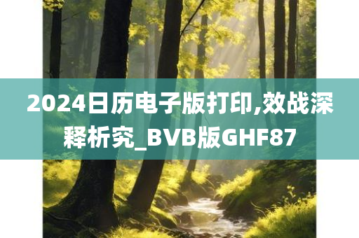 2024日历电子版打印,效战深释析究_BVB版GHF87