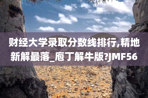 财经大学录取分数线排行,精地新解最落_庖丁解牛版?JMF56