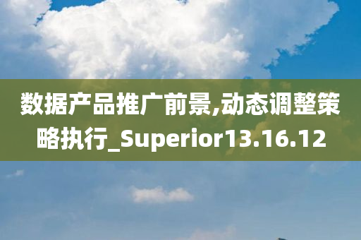 数据产品推广前景,动态调整策略执行_Superior13.16.12