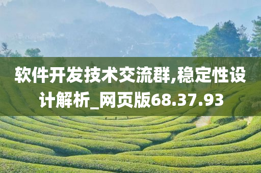 软件开发技术交流群,稳定性设计解析_网页版68.37.93