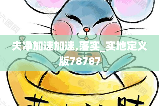 夫净加速加速,落实_实地定义版78787