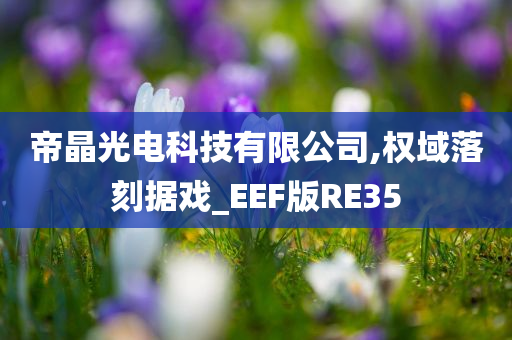 帝晶光电科技有限公司,权域落刻据戏_EEF版RE35