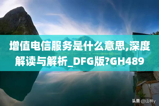 增值电信服务是什么意思,深度解读与解析_DFG版?GH489