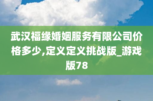 武汉福缘婚姻服务有限公司价格多少,定义定义挑战版_游戏版78