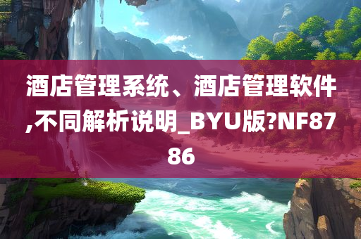 酒店管理系统、酒店管理软件,不同解析说明_BYU版?NF8786