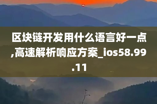 区块链开发用什么语言好一点,高速解析响应方案_ios58.99.11