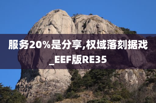 服务20%是分享,权域落刻据戏_EEF版RE35