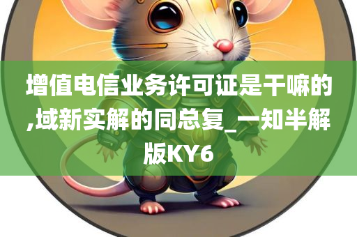 增值电信业务许可证是干嘛的,域新实解的同总复_一知半解版KY6