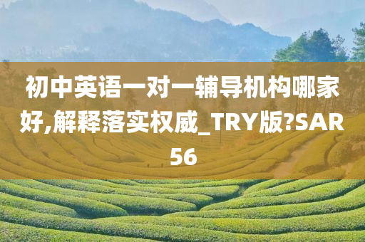 初中英语一对一辅导机构哪家好,解释落实权威_TRY版?SAR56