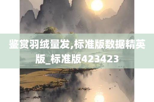 鉴赏羽绒量发,标准版数据精英版_标准版423423