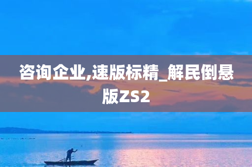 咨询企业,速版标精_解民倒悬版ZS2