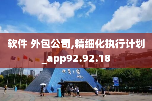 软件 外包公司,精细化执行计划_app92.92.18