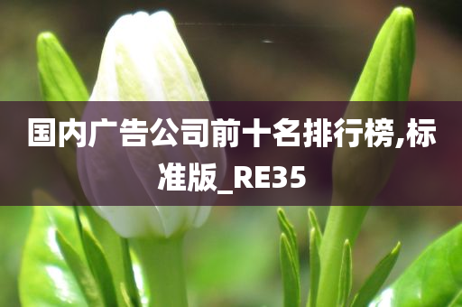 国内广告公司前十名排行榜,标准版_RE35