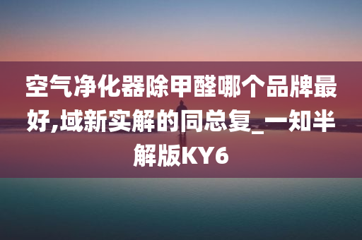 空气净化器除甲醛哪个品牌最好,域新实解的同总复_一知半解版KY6