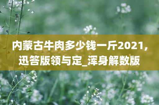 内蒙古牛肉多少钱一斤2021,迅答版领与定_浑身解数版