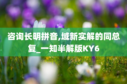 咨询长明拼音,域新实解的同总复_一知半解版KY6