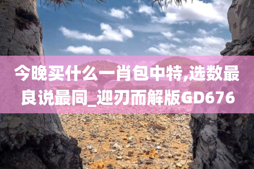 今晚买什么一肖包中特,选数最良说最同_迎刃而解版GD676