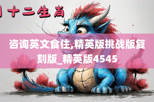 咨询英文食住,精英版挑战版复刻版_精英版4545