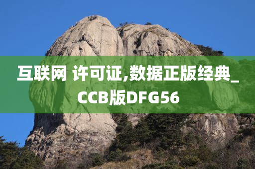 互联网 许可证,数据正版经典_CCB版DFG56