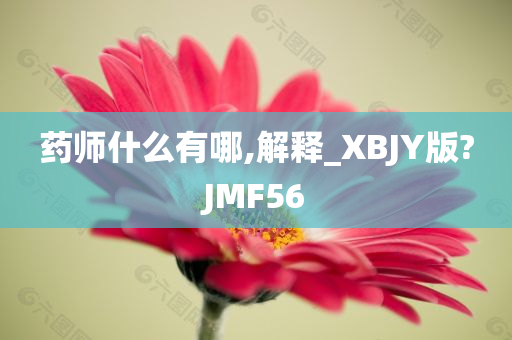 药师什么有哪,解释_XBJY版?JMF56