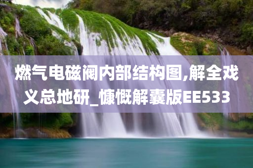 燃气电磁阀内部结构图,解全戏义总地研_慷慨解囊版EE533