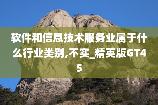 软件和信息技术服务业属于什么行业类别,不实_精英版GT45