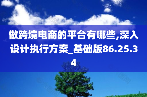 做跨境电商的平台有哪些,深入设计执行方案_基础版86.25.34